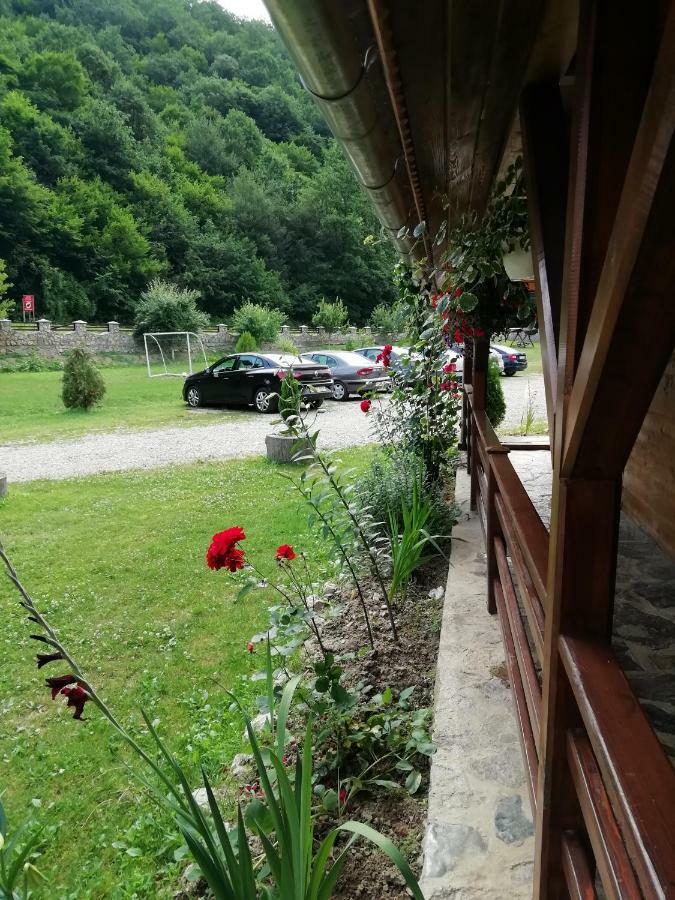 Pensiunea La Busu -Bigar Bozovici Zewnętrze zdjęcie